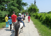 La ferme O'Poney - Langeais